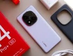 HP Terbaru Dirancang Untuk Fotografi Malam Dengan Sensor Low Light Optimal